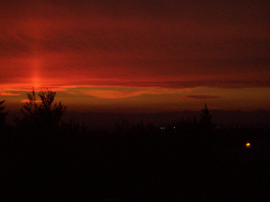 Photograph of a dark red sunset punctuated by trees. Foreground is nearly black from night.